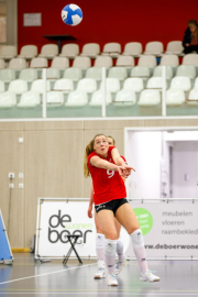 DV-20260213-0027-web