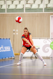 DV-20260213-0077-web