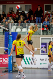 DV-20260213-0095-web