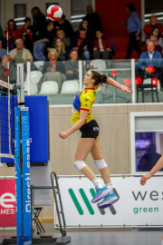 DV-20260213-0105-web