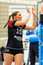 DV-20260213-0200-web