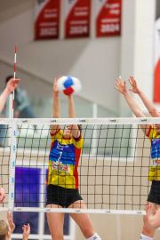 DV-20260213-0265-web