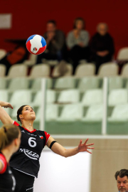 DV-20260213-0345-web