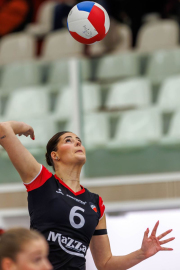 DV-20260213-0352-web