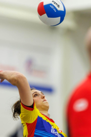 DV-20260213-0396-web