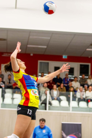 DV-20260213-0438-web