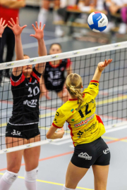 DV-20260213-0474-web