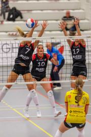 DV-20260213-0498-web