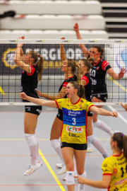 DV-20260213-0508-web