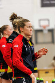 DV-20260213-0598-web