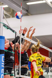 DV-20260213-0747-web