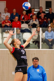 DV-20260213-0913-web