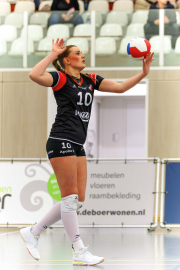 DV-20260213-0935-web