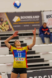 DV-20260213-0968-web