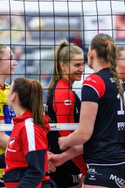 DV-20260213-1137-web