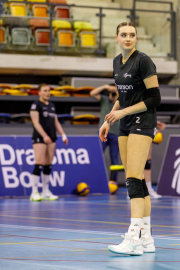 DV-20260228-0024-web