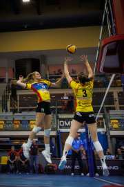 DV-20260228-0086-web