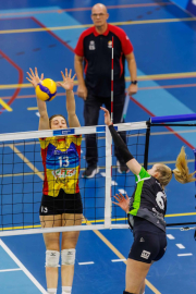 DV-20260228-0147-web