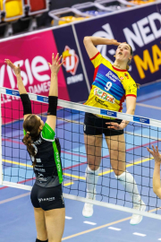 DV-20260228-0170-web