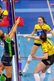 DV-20260228-0208-web