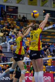 DV-20260228-0532-web