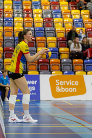 DV-20260228-0564-web