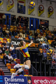 DV-20260228-0612-web