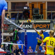 DV-20260228-0810-web