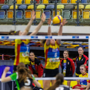 DV-20260228-0895-web