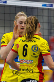 DV-20260228-0955-web