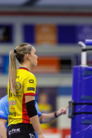 DV-20260228-0979-web