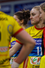 DV-20260228-1137-web