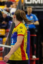 DV-20260228-1173-web