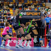 DV-20260228-1228-web