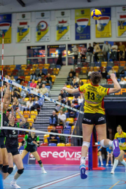 DV-20260228-1351-web