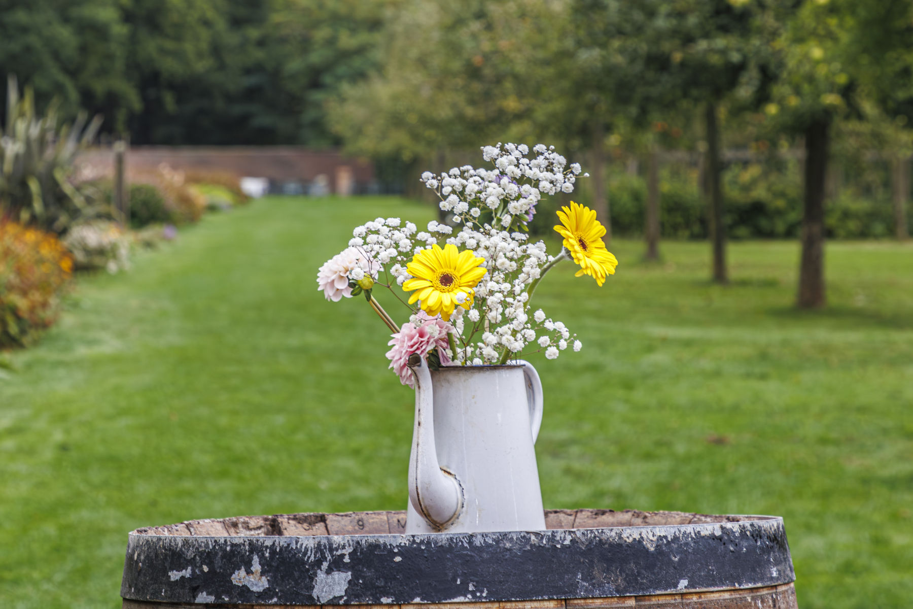 DV-20250909-0284 DV-20250909-0284